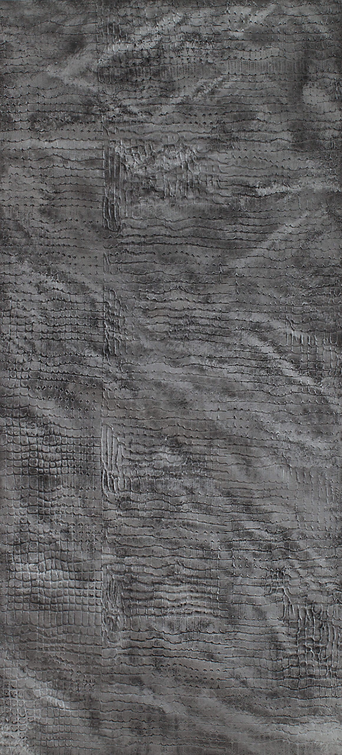 KRONOS XS COCCODRILLO 1