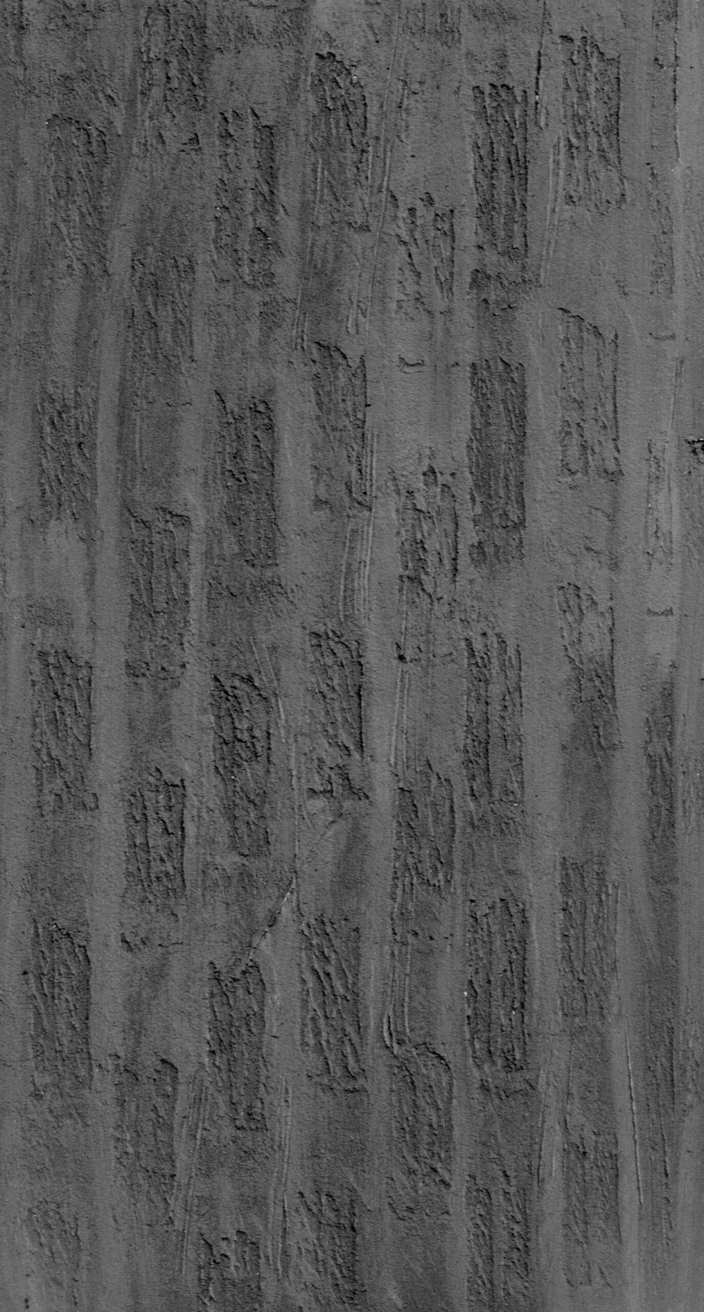 KRONOS CORTECCIA 2