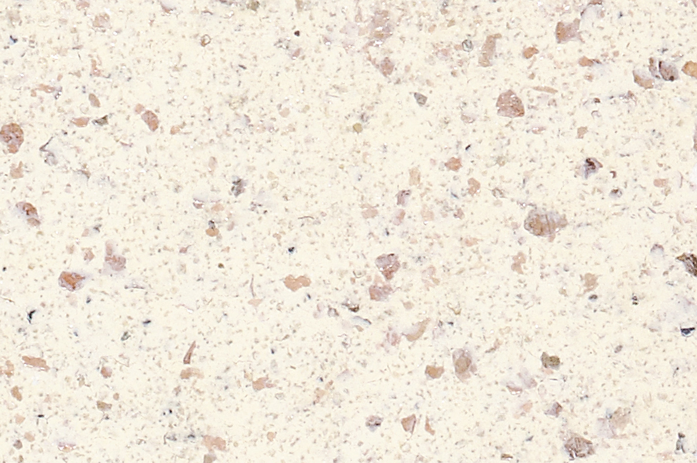 TEODORICO 1